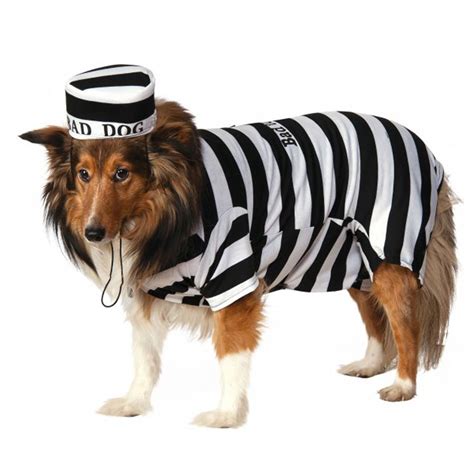 dog prisoner costume